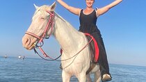 Hurghada horse riding 
