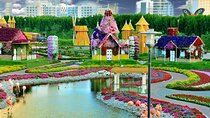 Dubai Miracle Garden With Optional Transfers 