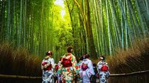 Minoo Falls, Arashiyama Bamboo Forest and Todai-ji Temple Tour