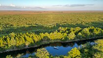 Half-Day Everglades Freshwater Fishing Trips