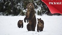 Yellowstone & Grand Teton National Parks Winter Tour 5-Day