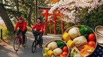 Bento and Bicycle Tour of Hidden Kyoto with Local Guides