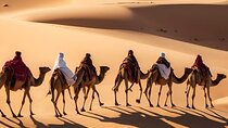Marrakech to Merzouga: 3-Day Desert Safari Tour