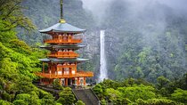 Nachi Waterfall, Mount Koya & Wakayama Tour with Two Options