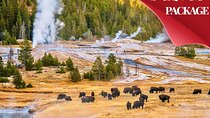 Yellowstone & Grand Teton National Parks: Small Group 3-Day Tour