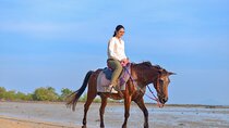 Krabi Beach Horse Riding Adventure 