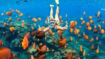 Blue lagoon Private Snorkeling Adventure Bali