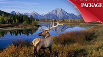 Yellowstone, Grand Teton, and Hot Springs: Small Group 5-Day Tour