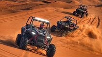 Thrilling Self Drive Dune Buggy Camel Trek, BBQ and Entertainment