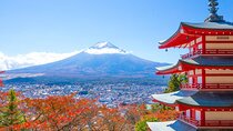Mount Fuji Popular Sightseeing Tour