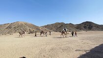Hurghada Safari ATV, Buggy, Camel Ride, Dinner And Show
