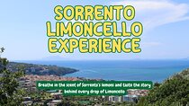 Discover Sorrento through lemons and olive trees