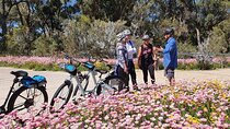 Pedals & Petals - Discovering Wildflowers Bike Tour Kings Park