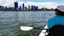 Evening City Lights Kayak Tour in South Perth