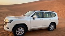 Private Dubai Desert Safari With BBQ & Live Shows 