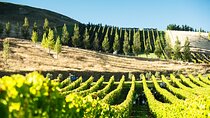 Lyttelton Shore Excursion: Waipara Valley Wine Tour with Lunch