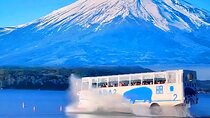 Mt Fuji Day Trip KABA Bus Lake Cruise and Lawson Photo