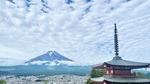Mt. Fuji Private Taxi Tour Discover Hidden Spots with Guide