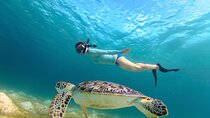 (ALL- IN) Bali Snorkeling Blue Lagoon with Waterfall Visit