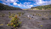 Expert Led Private Guided Tour Hawaii Volcanoes National Park