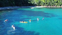 Tiritiri Matangi Sea Kayak Tour