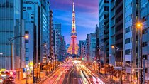 Private Tokyo Night Tour with English Speaking Driver