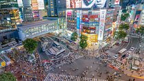 Shibuya Sky Sunset or night Entry w/ Guided Shibuya Walking Tour