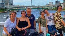 Tokyo 3 Hour E Bike Tour of the City Bayside Areas