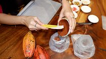 A Hands-On Chocolate-Making Workshop in Ho Chi Minh City
