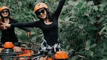 Ubud All-Inclusive ATV Adventure and Waterfall Tour