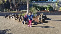 Sydney Botanic Garden Kids Quest: Nature Puzzle Adventure