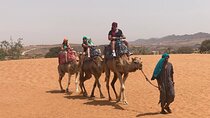 Comedy or Horseback Ride EN Agadir