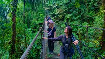 Combo Arenal : Suspension Bridges + Hot Springs + Fortune Falls