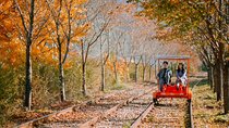 Nami Island, Apple Picking, Rail bike & Autumn Light Festival
