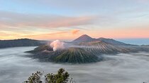 Probolinggo - Dawn Journey to Mount Ijen Sunrise Expedition