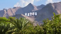 Hatta Private Day Trip 