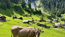 Swiss Alps and Waterfalls Private Tour from Zurich