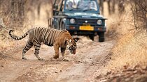 Golden Triangle Tour - Delhi, Agra, Jaipur & Ranthambore