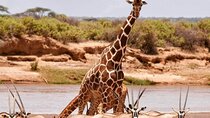3 Day Olpejeta Conservancy and Samburu Reserve Big 5 Safari