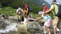 Bulgaria Private Family Friendly Self Drive Off Road Tour 8 Days 