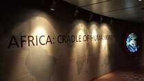 Cradle of Humankind/sterkfontein caves & Apartheid Museum Tour
