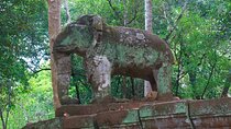 Beng Melea and Koh Ker Jungle Temple Tour from Siem Reap