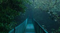 Monteverde Cloud Forest hanging bridges Nature Tour