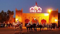 Chez Ali, Fantasia folklore Show With Oriental Dinner - Marrakesh