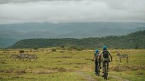 Hells Gate National park using Electric bike & Lake Naivasha 