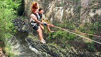 Rainforest Zip Line Canopy Adventure Aerial Thrill Forest Tour