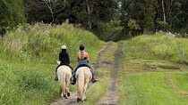 Small Group Rainforest Trail Ride