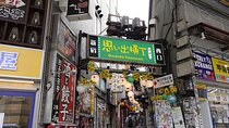 TOKYO : SHINJUKU "PRIVATE" Walking Tour with Local Japanese Guide