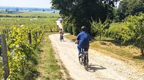 E-bike trip : From Bordeaux to Saint-Emilion with picnic lunch