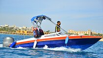 Private Speedboat Trip, Dolphin Swim, & Water Sports :Hurghada